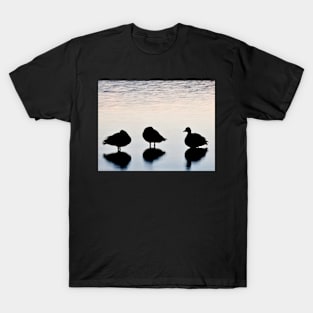 Good Morning Ducks T-Shirt